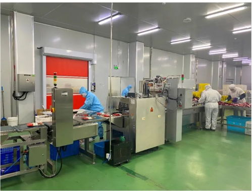 陣容強(qiáng)大，明天再聚青島 金融服務(wù)的新征程