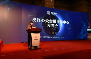 襄陽(yáng)漢江金融服務(wù)中心上線(xiàn) 創(chuàng)新服務(wù)助力企業(yè)融資發(fā)展